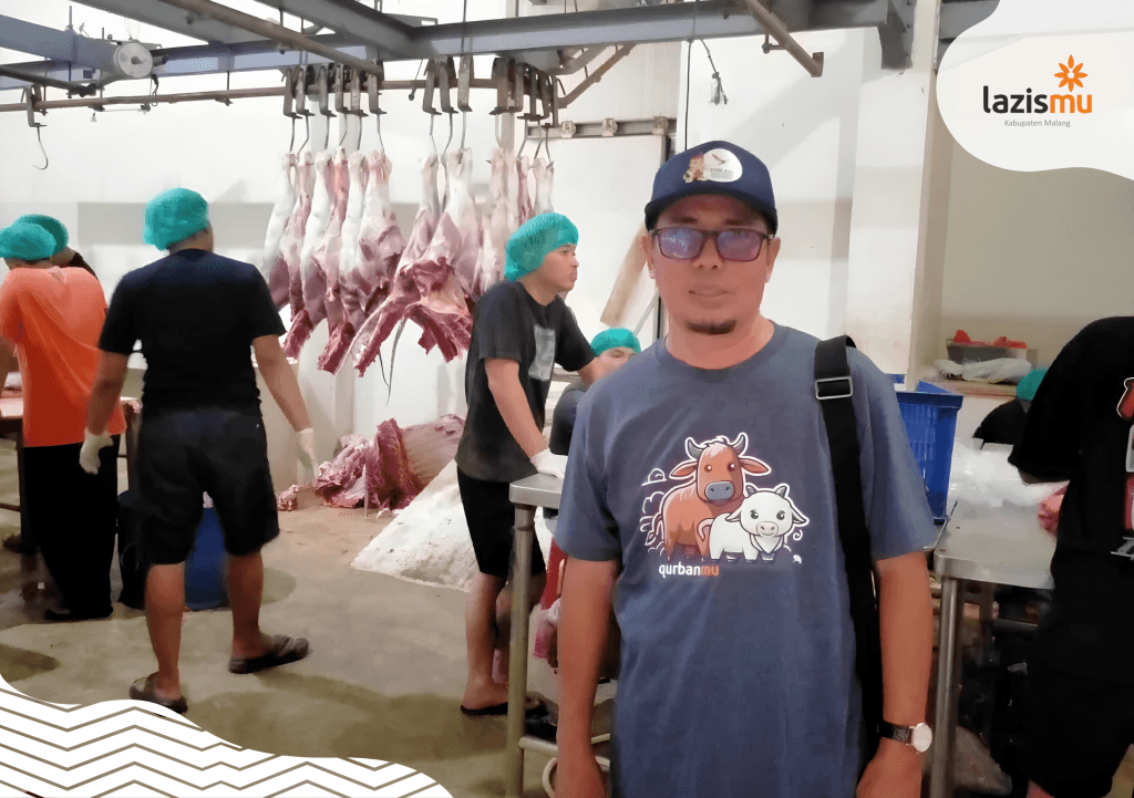 proses penyembelihan sapi qurban untuk rendangmu