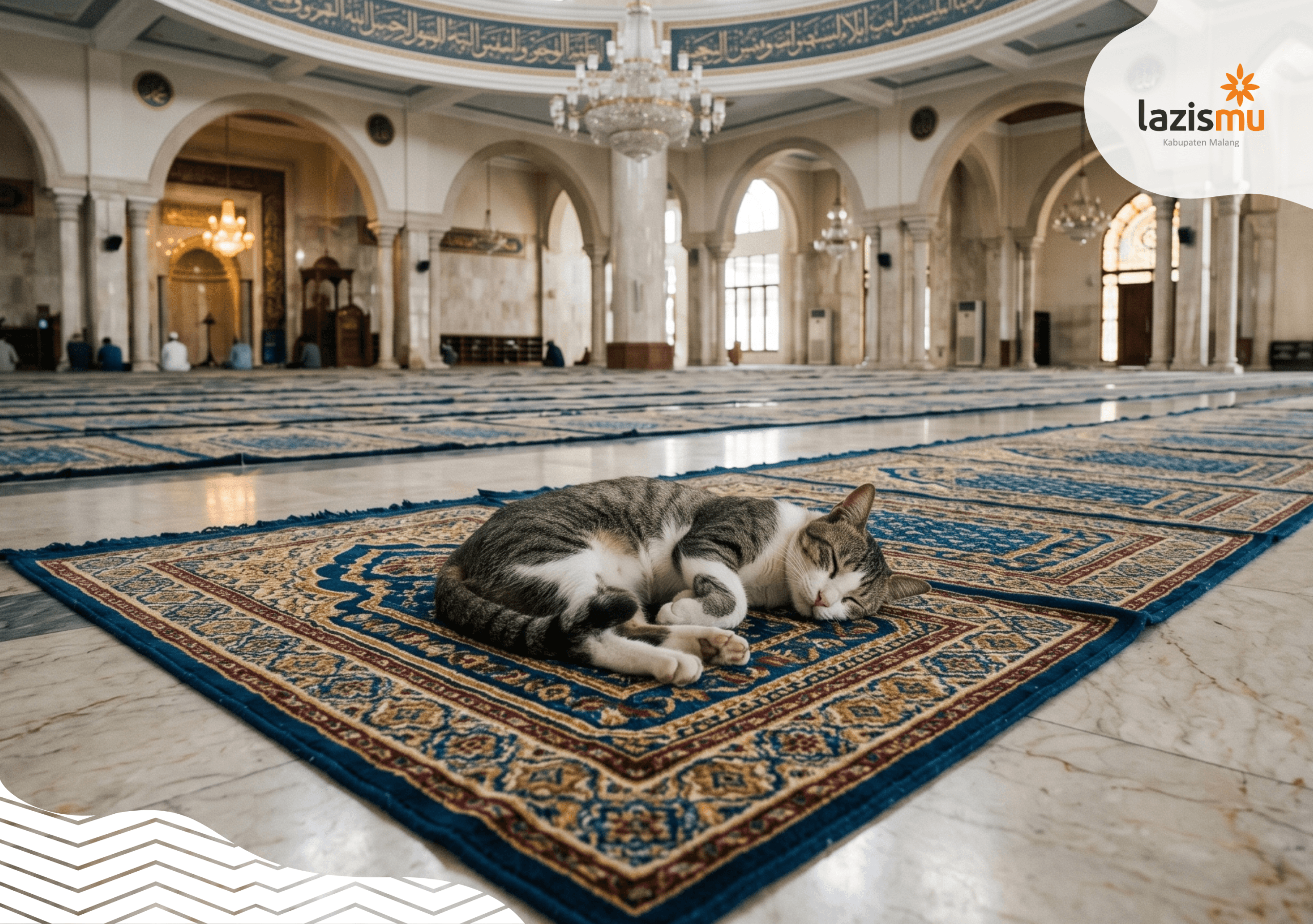 kucing diatas sajadah masjid